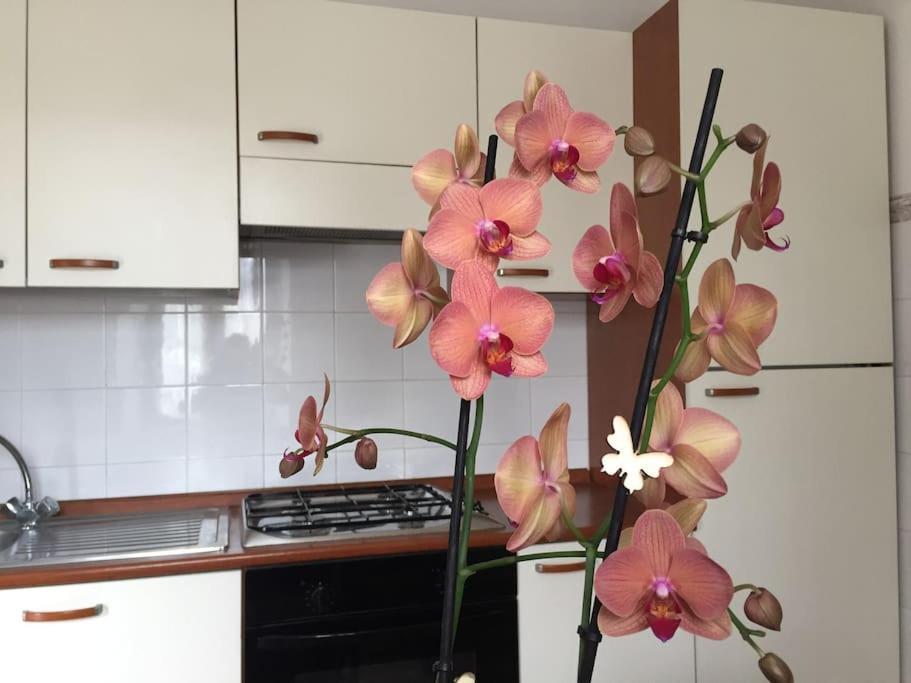 Narni.Umbria Appartement Narni Scalo Buitenkant foto